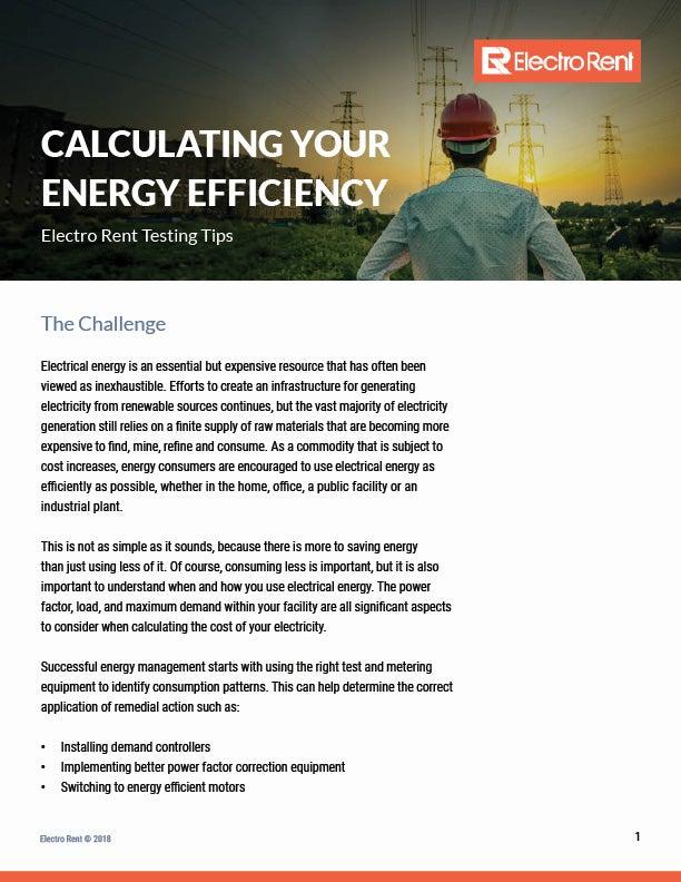 Calculating Your Energy Efficiency, image